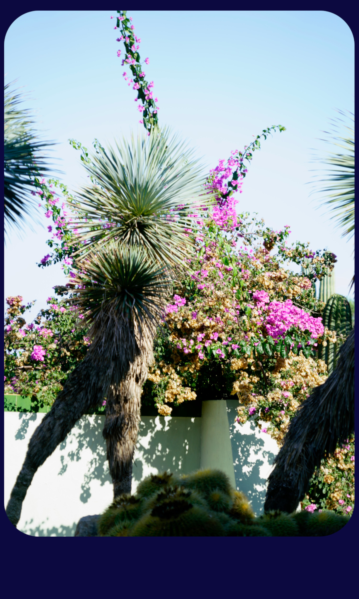Mallorca Botanicatus